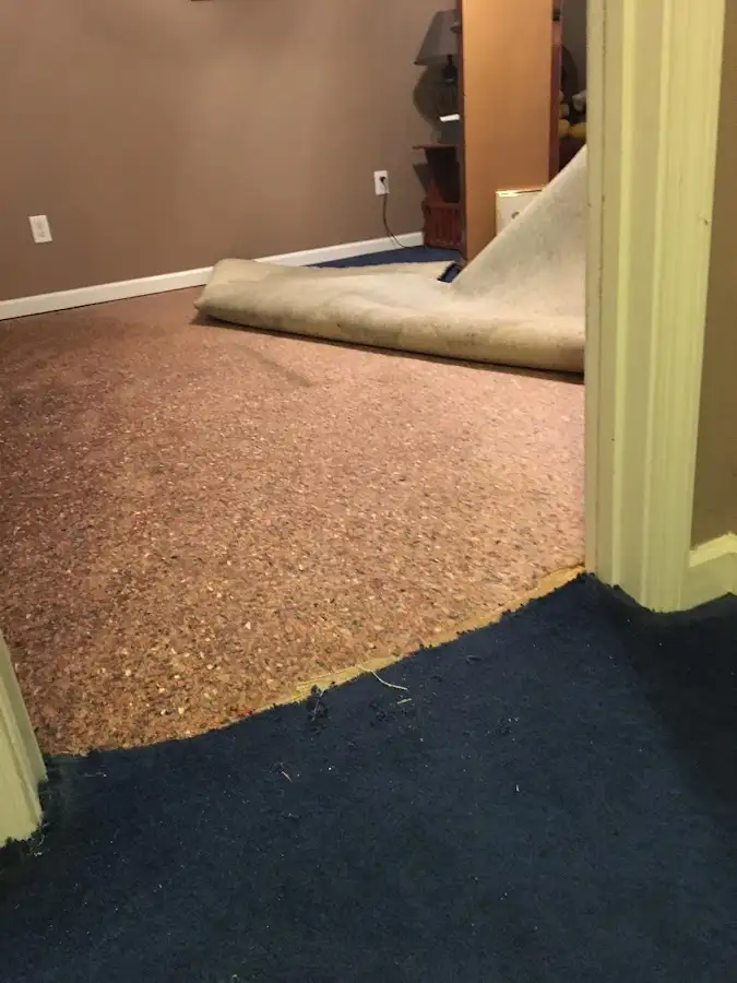 Carpet pad removal revealing water damage during Water Mitigation Services in Coxsackie