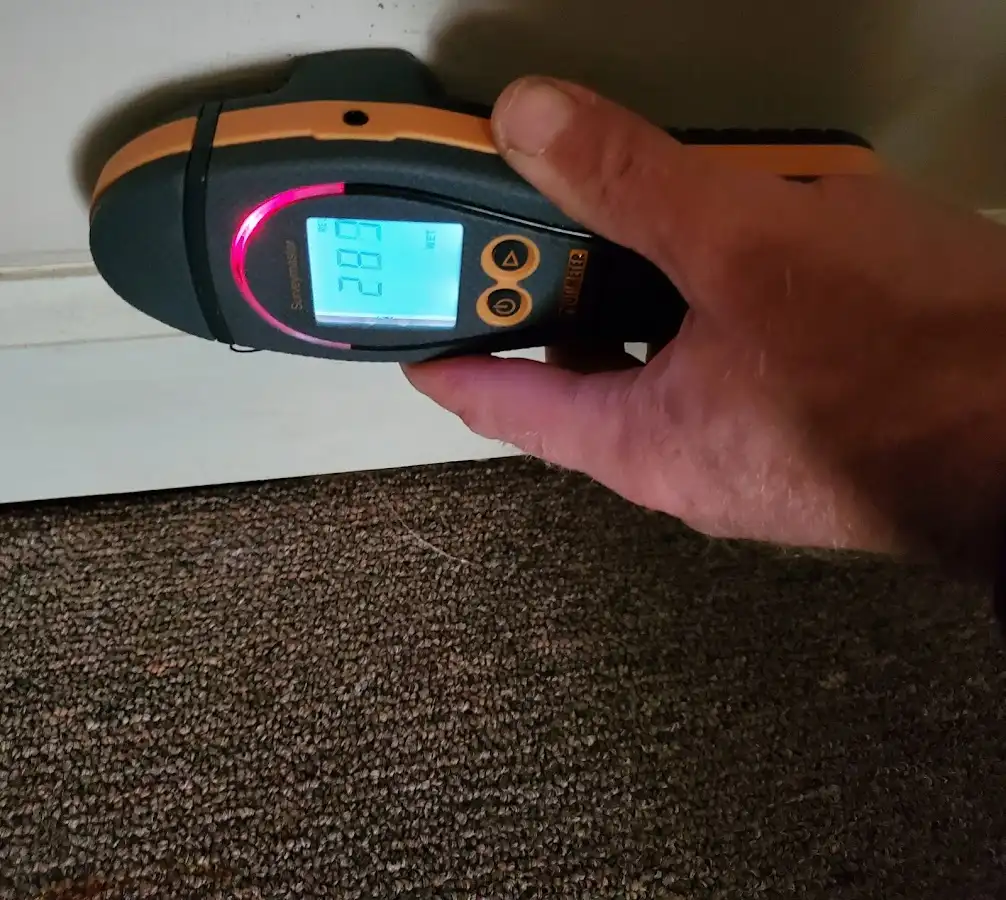 Moisture detection at baseboard during Sewage Cleanup & Sanitation in Coxsackie